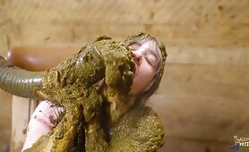 Cozy Corner with cowshit