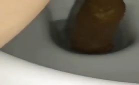 Huge turd dropped in toilet