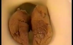 Huge pile of shit