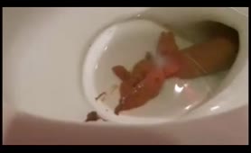 She's shaking her ass and she's pooping