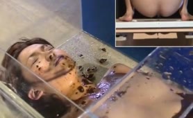 Using a female slave