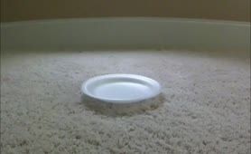 Stunning girl shits on a white plate
