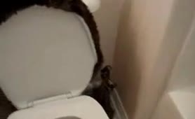 Many sexy girls that poop