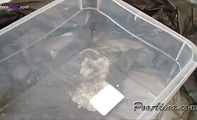 Scat girl without limits