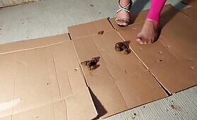 Asian Babe Steps on Cardboard with Shit